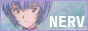 nerv.png